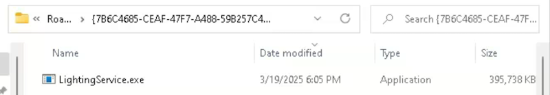 Windows file explorer showing LightingService.exe